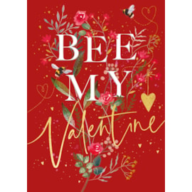 Bee Mine Valentines Day Card (VGHA0002)
