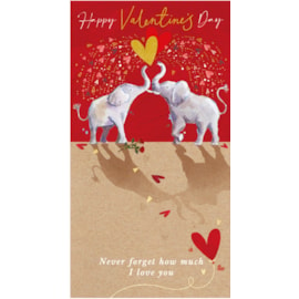 Showering You With Love Valentine Day Card (VJJA0014)
