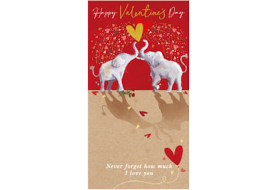 Showering You With Love Valentine Day Card (VJJA0014)