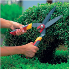 Wolf Box Tree Shears Wolf Box Tree Shears