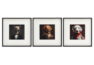 Sifcon Dog Animal Head Wall Art Asst 40x40 Sifcon Dog Animal Head Wall Art Asst 40x40