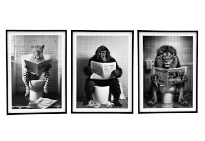 Sifcon Animal Toilet Wall Art 45x60 Sifcon Animal Toilet Wall Art 45x60