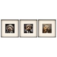 Sifcon Fluffy Dog Wall Art 40x40 Sifcon Fluffy Dog Wall Art 40x40