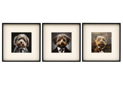 Sifcon Fluffy Dog Wall Art 40x40 Sifcon Fluffy Dog Wall Art 40x40