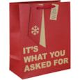 Eurowrap Kraft What You Asked For Gift Bag Large (X-32754-2C)