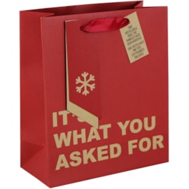 Eurowrap Kraft What You Asked For Gift Bag Medium (X-32754-3C)