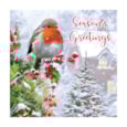 12pk Robin Traditional Cards 12pk Robin Traditional Cards