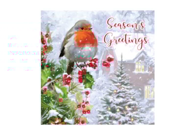 12pk Robin Traditional Cards 12pk Robin Traditional Cards