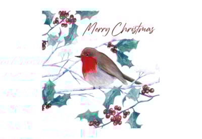 12pk Robin White Kraft Cards 12pk Robin White Kraft Cards