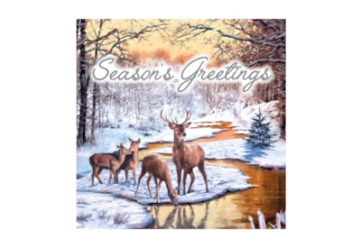 12pk Woodland Cards 12pk Woodland Cards