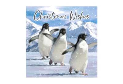 12pk Arctic Animals Cards 12pk Arctic Animals Cards