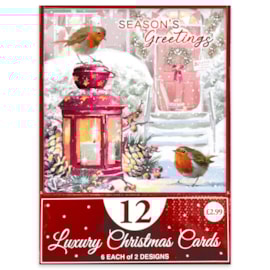 12pk Snowman/robin Cards 12pk Snowman/robin Cards