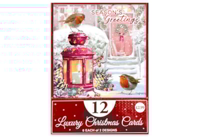 12pk Snowman/robin Cards