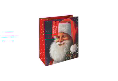 Eurowrap Traditional Santa Gift Bag Medium Eurowrap Traditional Santa Gift Bag Medium