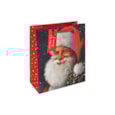 Eurowrap Traditional Santa Gift Bag Medium