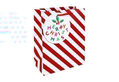 Eurowrap Candy Cane Gift Bag Large