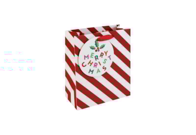 Eurowrap Candy Cane Gift Bag Medium Eurowrap Candy Cane Gift Bag Medium