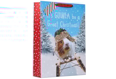 Guinea Pig Gift Bag Xlarge