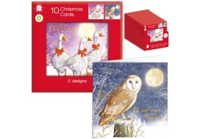 Giftmaker Square Geese & Owls Cards 10's (XANGC841)