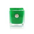 Life In Bloom Candle Green Winter Jasmine & Green Leaves