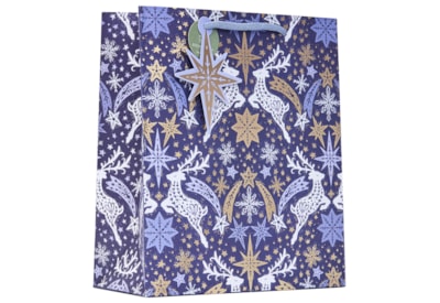 Star Chasers Gift Bag Medium