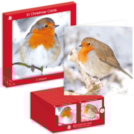 Giftmaker P/graphic Robins Sq Cards 2 Designs 10pk Giftmaker P/graphic Robins Sq Cards 2 Designs 10pk