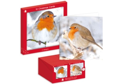 Giftmaker P/graphic Robins Sq Cards 2 Designs 10pk