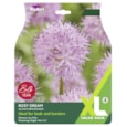 Taylors Allium Rosey Dream x 15 Taylors Allium Rosey Dream x 15