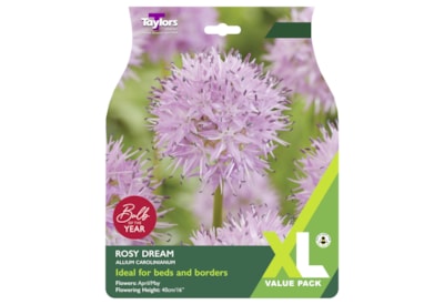 Taylors Allium Rosey Dream x 15 Taylors Allium Rosey Dream x 15
