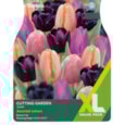Taylors Tulip Cutting Garden 25s