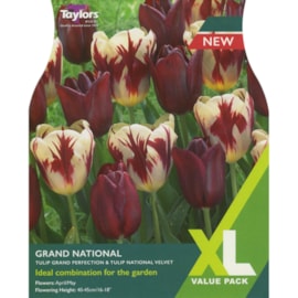 Taylors Tulip Grand National 18's (XL118)