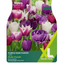 Taylors Tulip Purple Rain Fusion 25s