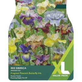 Taylors Iris Sibirica Mix Taylors Iris Sibirica Mix
