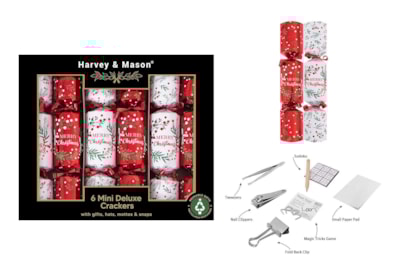 Harvey & Mason Mini 8.5" Crackers Red 6s Harvey & Mason Mini 8.5" Crackers Red 6s