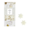 Ashleigh & Burwood Scented Home Shaped Wax Melts White Christmas