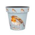 Creekwood Zest Pot Robin 30Cm
