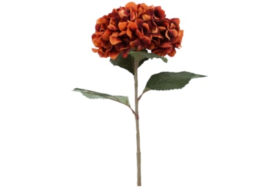 Gisela Graham Russet Giant Hydrangea Stem 83cm Gisela Graham Russet Giant Hydrangea Stem 83cm