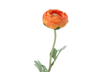 Gisela Graham Orange Ranunculus Stem 50cm Gisela Graham Orange Ranunculus Stem 50cm