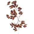 Gisela Graham Autumn Leaf Flatlay Branch 79cm Gisela Graham Autumn Leaf Flatlay Branch 79cm
