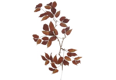 Gisela Graham Autumn Leaf Flatlay Branch 79cm Gisela Graham Autumn Leaf Flatlay Branch 79cm